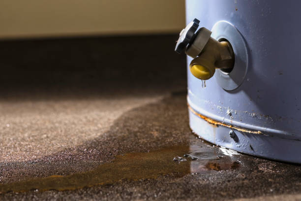 Best Water damage contractors near me  in Carteret, NJ