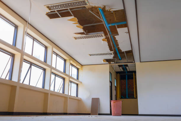 Best Flooded house restoration  in Carteret, NJ