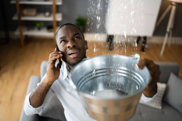 Best Ceiling water damage repair  in Carteret, NJ