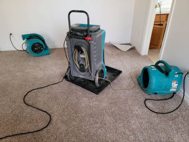 Best Water damage cleanup near me  in Carteret, NJ