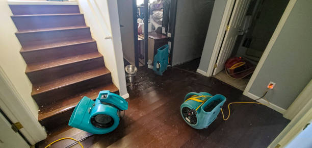 Best Commercial water damage restoration  in Carteret, NJ