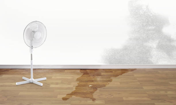  Carteret, NJ Water damage restoration Pros