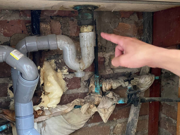 Best Flooded house restoration  in Carteret, NJ